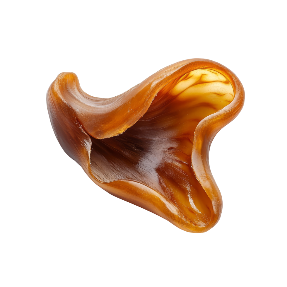 Jewelshaped jelly ear mushroom isolated on a transparent background showcasing its unique texture and color details, Jews ear, Wood ear, Jelly ear isolated on transparent background png