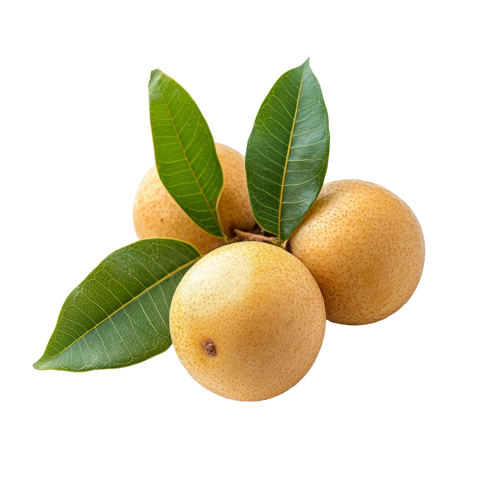 Fresh longan fruit with green leaves resting on a clean transparent background ready for culinary use, Longan with leaf on transparent background png