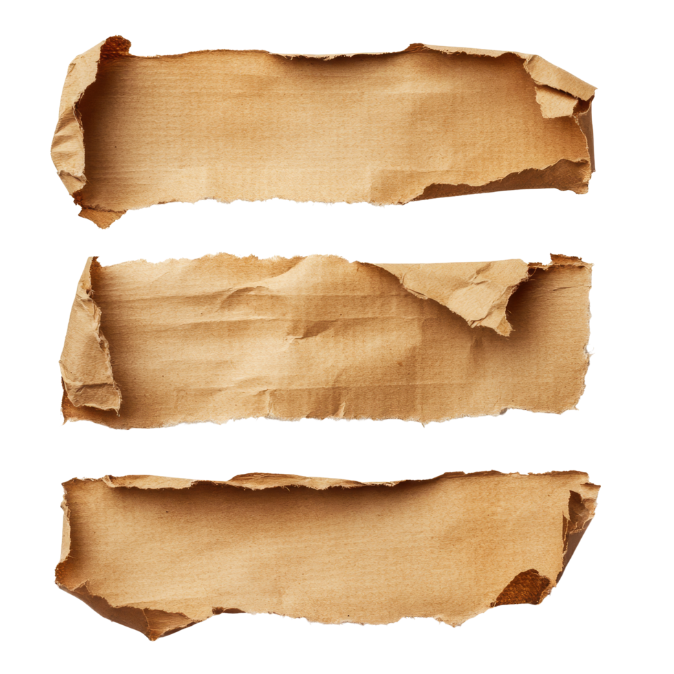 Torn pieces of corrugated paper arranged for labeling in a crafting workspace with natural light, Torn pieces of corrugated paper used as label on transparent backgroundfile png
