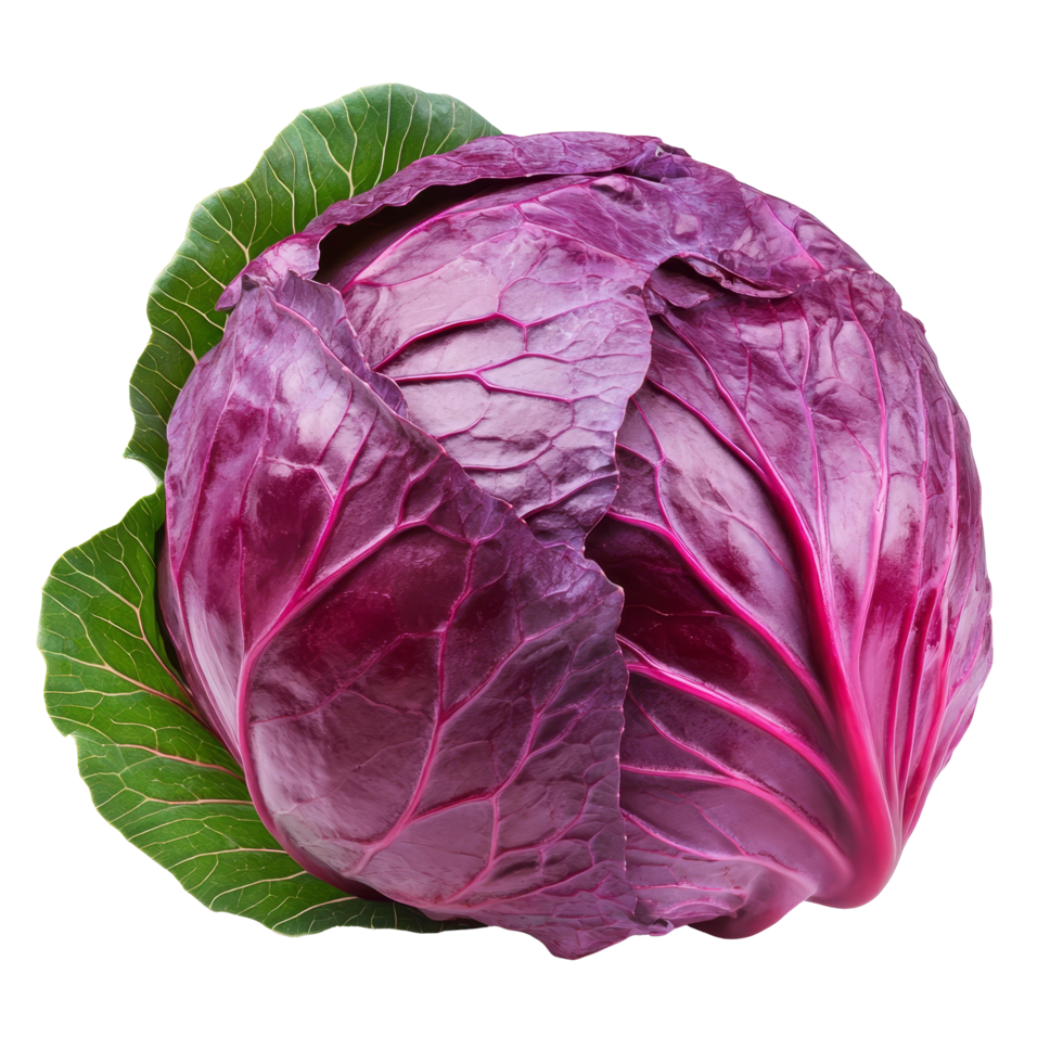 Fresh red cabbage with lush green leaf against a clean transparent background showcasing its vibrant color and texture, Red cabbage with leaf on transparent background png