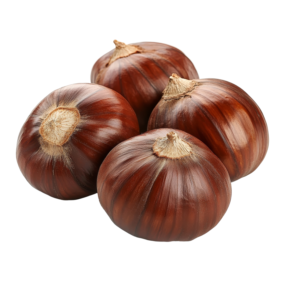 Fresh organic chestnuts arranged neatly on a transparent background showcasing their rich color and texture, Organic four chestnuts on a transparent background png