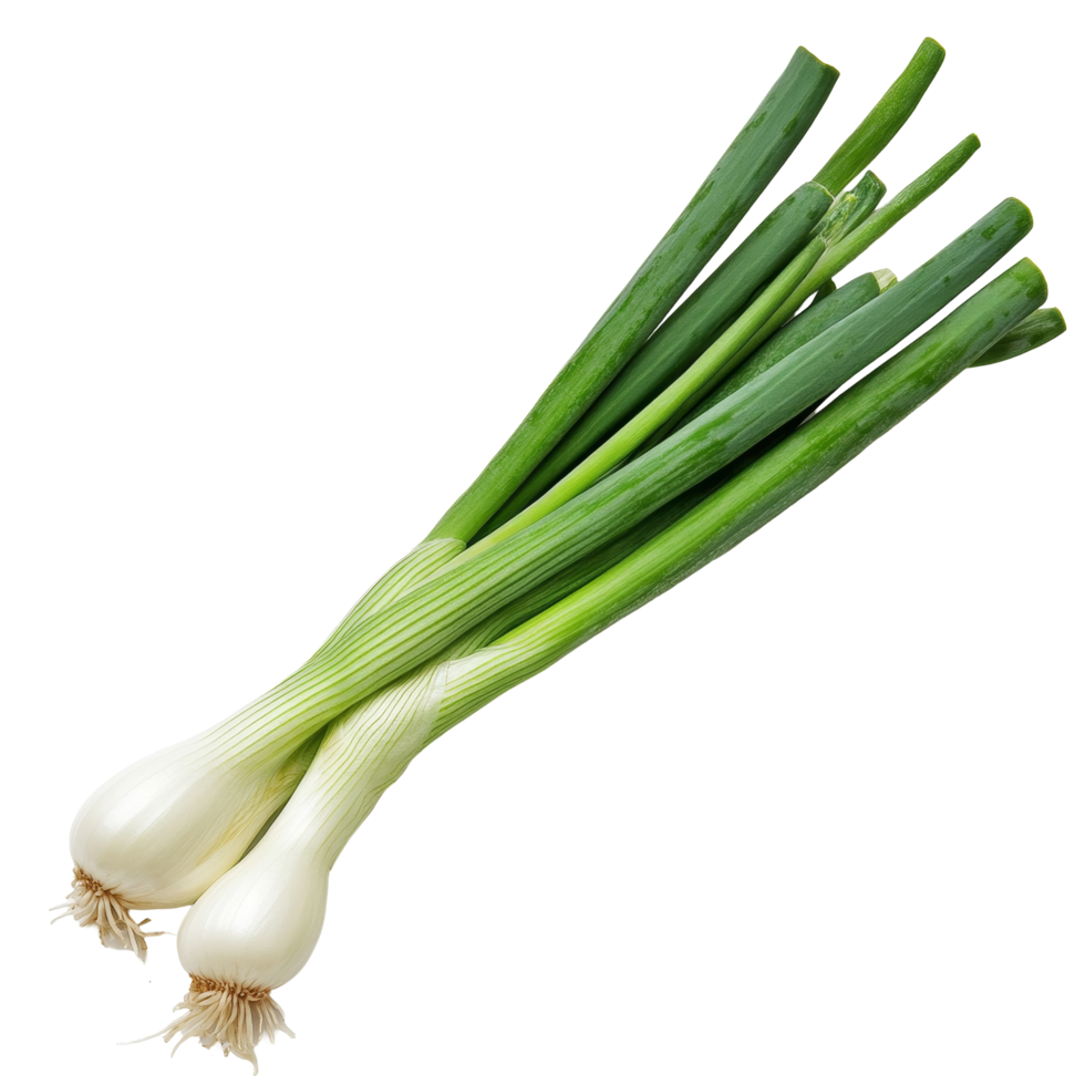 Freshly sliced green onion on a clean transparent background showcasing vibrant colors and textures of the vegetable, green onion slice on transparent background png