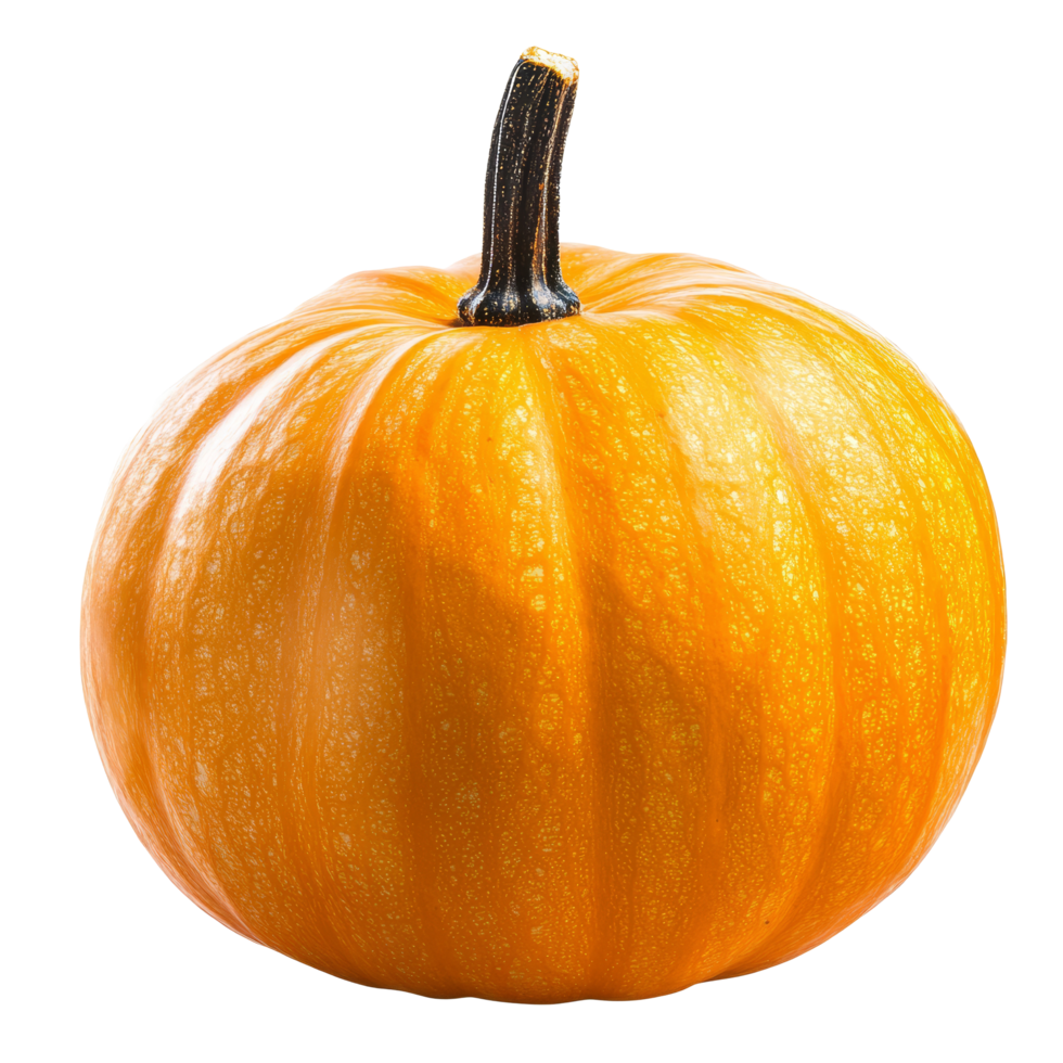 Bright orange pumpkin isolated on a clean transparent background showcasing its smooth texture and vibrant coloration, pumpkin isolated on transparent background png
