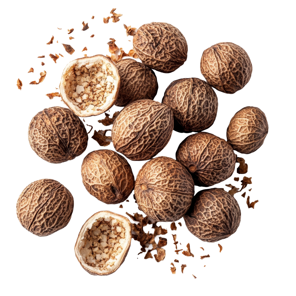 Dry nutmeg pods and grated nutmeg on a transparent background highlighting the spices texture and natural beauty, dry nutmeg on transparent background png