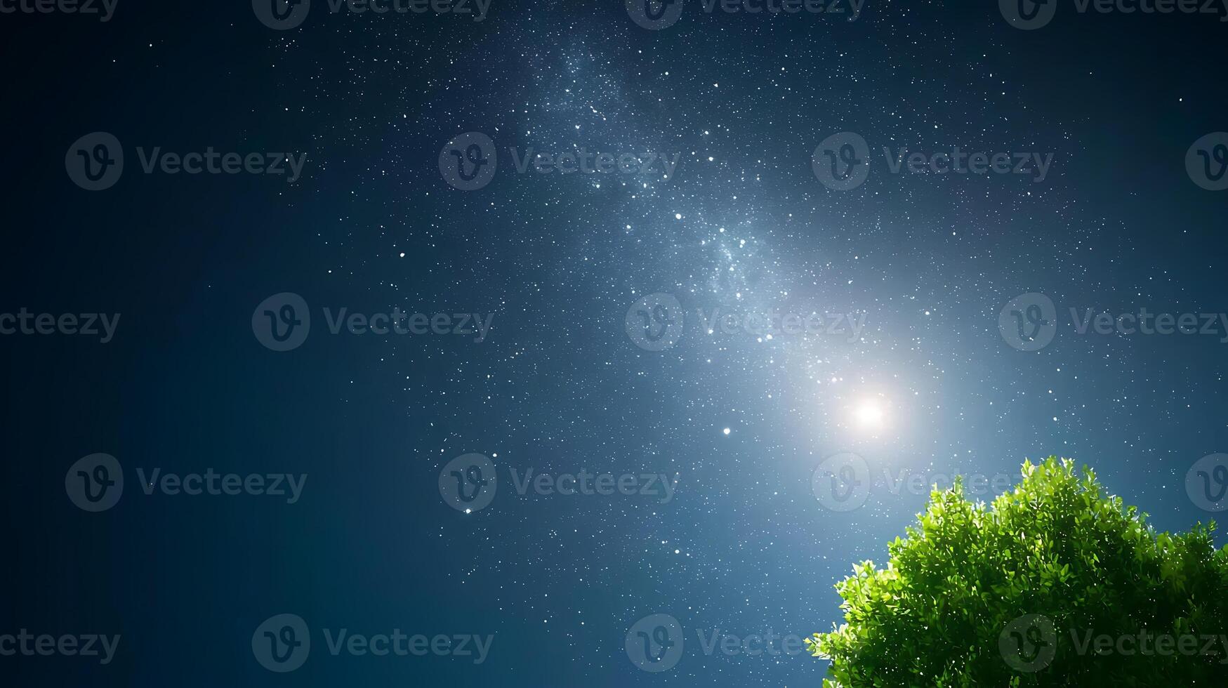 Starry night sky with a bright celestial body and a lush green tree in the foreground photo