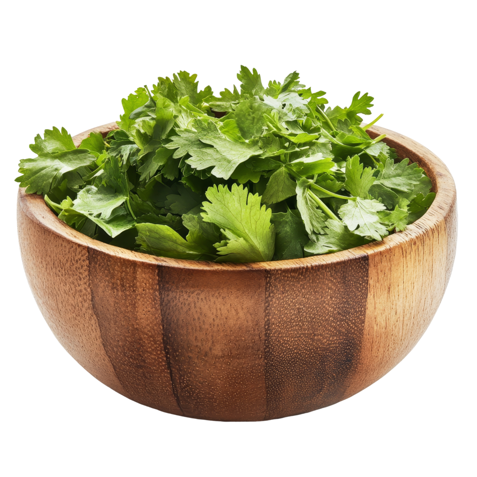 Fresh coriander leaves in a wooden bowl ready for culinary use on a clean transparent background, coriander leaf in wood bowl isolated on transparent background png