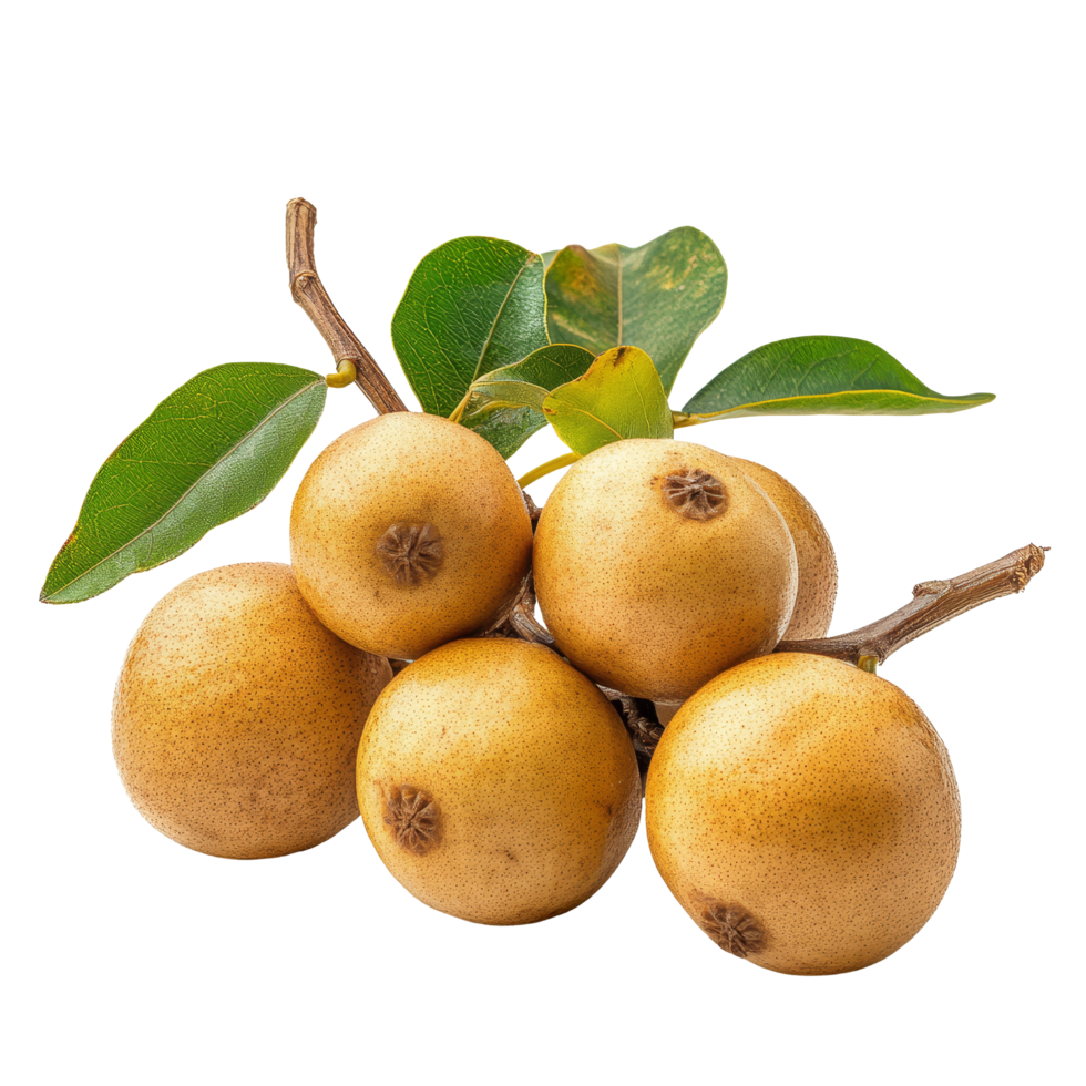 Fresh longan fruit cluster with green leaves on a transparent background for culinary and decorative purposes, Longan on transparent background png