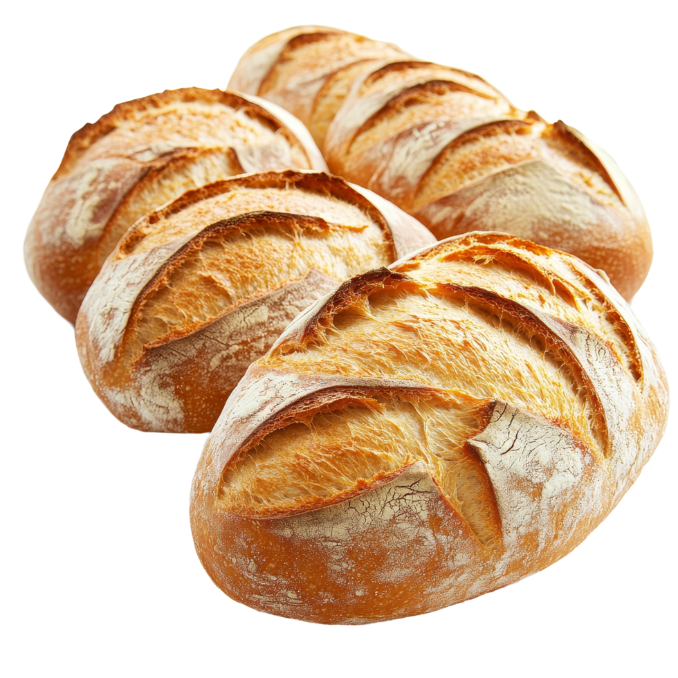 A fresh row of artisan loaves of bread lined up on a clean transparent background, a row of loaf of bread on transparent backgroundfile png