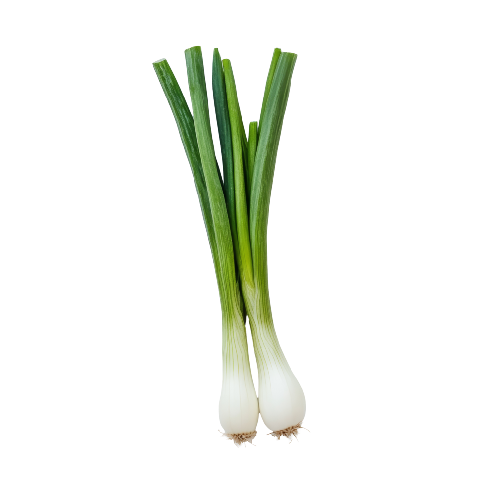 Freshly sliced green onion on a clean transparent background ideal for culinary presentations and food styling, green onion slice on transparent background png