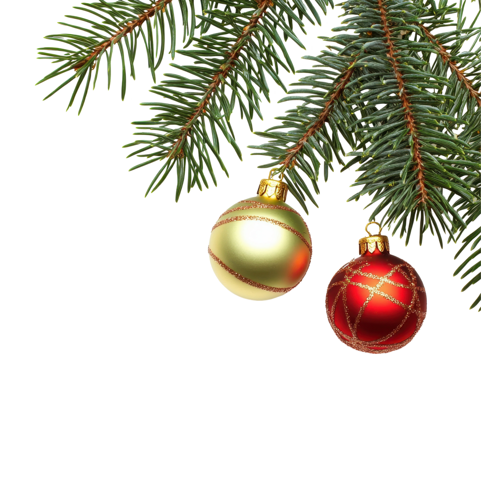Beautiful Christmas ornaments on fir tree branch isolated on white background for festive decorations, Christmas toys on fir tree branch , isolated on white png