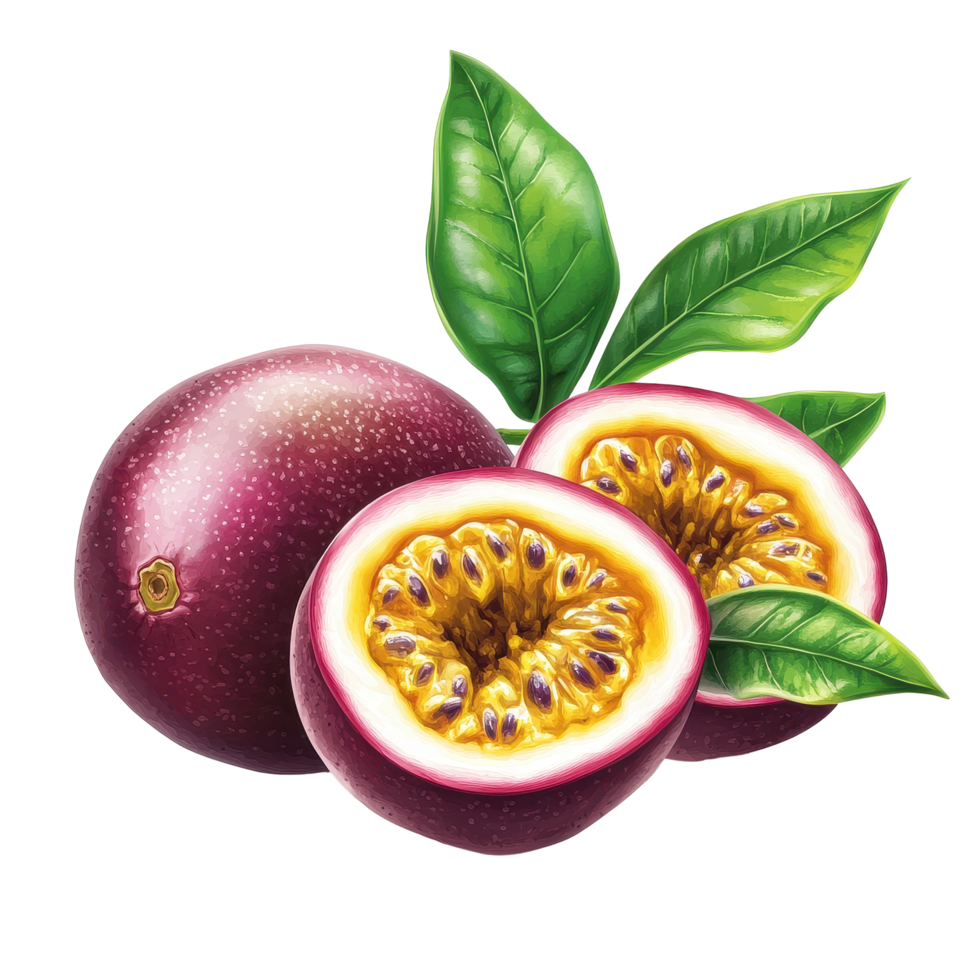 Realistic depiction of fresh passion fruit with leaves arranged on a Transparent background, Passion Fruit Botanical realistic on background png