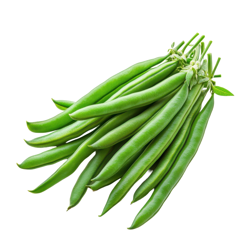 Fresh green beans bunch isolated on white background for culinary use and healthy eating, Fresh green pea pod with beans isolated on white background png