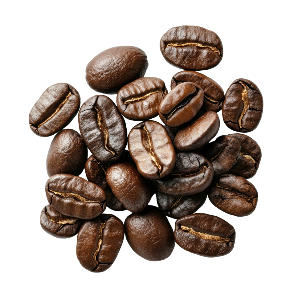 Raw coffee beans displayed on a Transparent background for an elegant presentation of their natural beauty, Raw coffee beans on background png