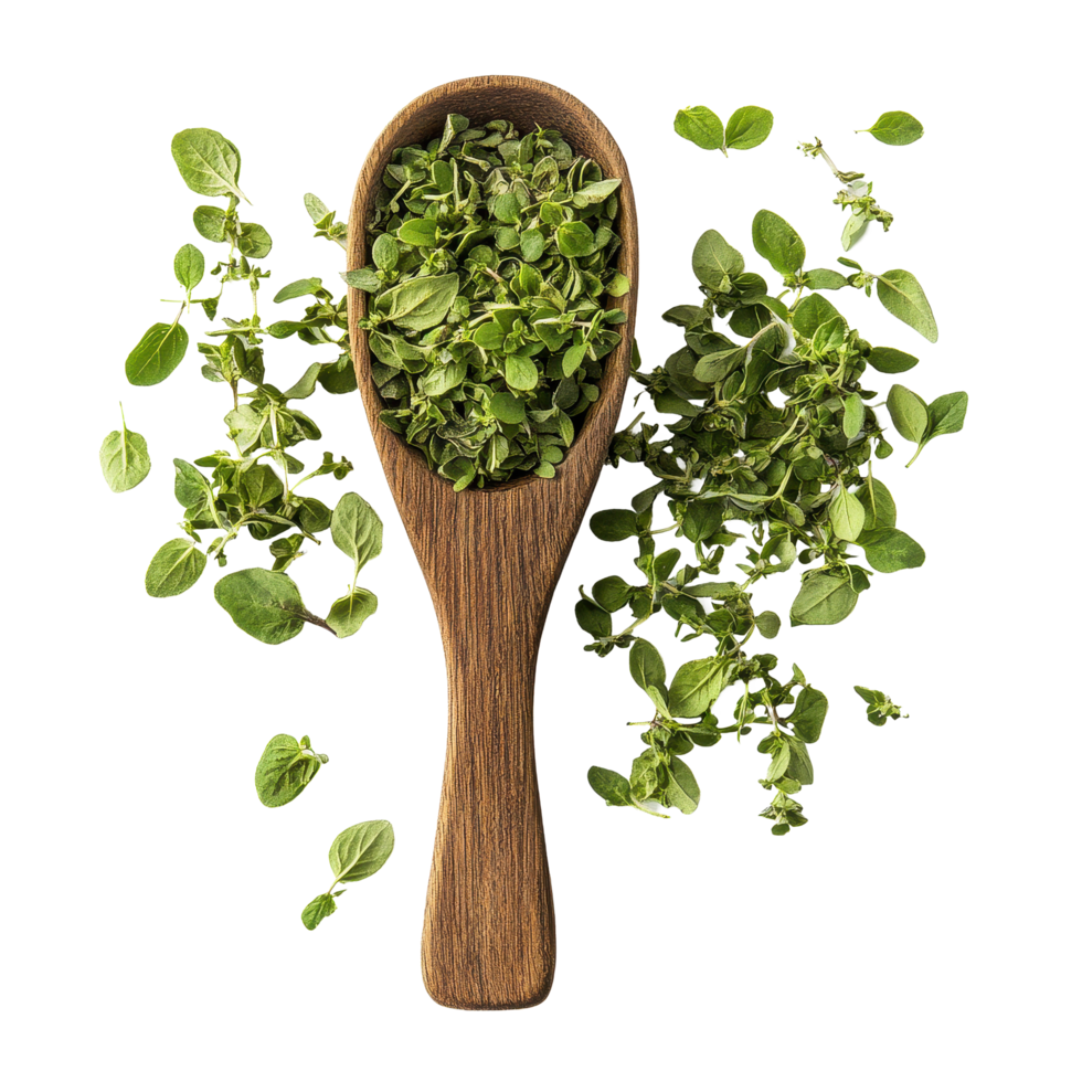 Freshly dried oregano leaves in a wooden scoop on a Transparent background, Oregano in scoop isolated on background png