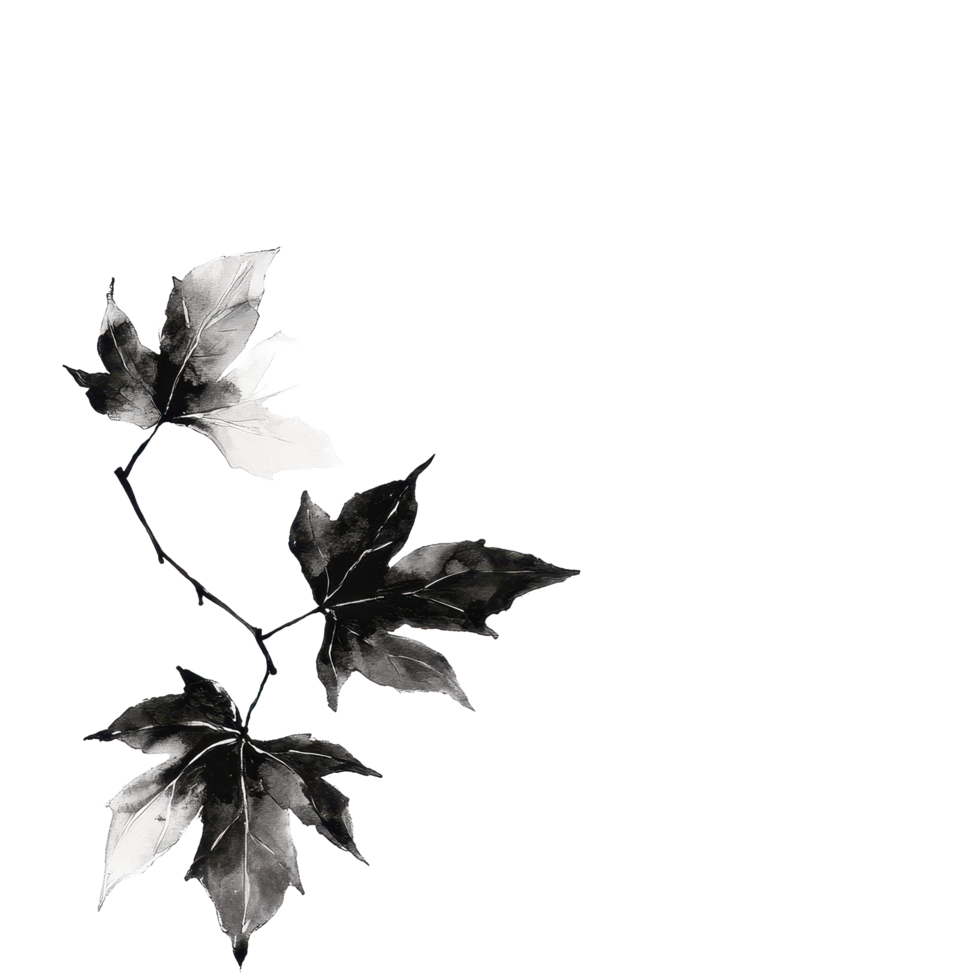 Ink leaves displayed on a clean white background capturing natural beauty and simplicity, ink leaves isolated on white background png