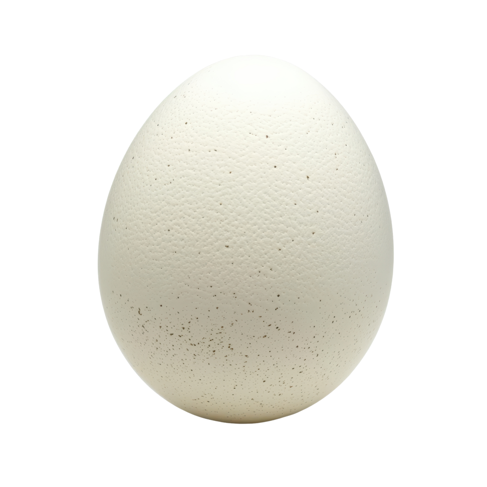 White egg isolated on a Transparent background showcasing its smooth texture and subtle speckles for culinary uses, white eggs isolated on background png