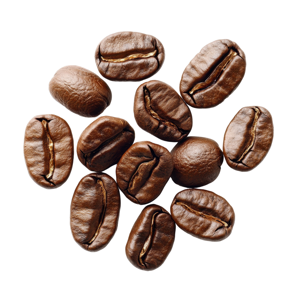 Fresh coffee beans on a white background ready for brewing delicious beverages and energizing mornings, fresh coffee beansisolated on white background png