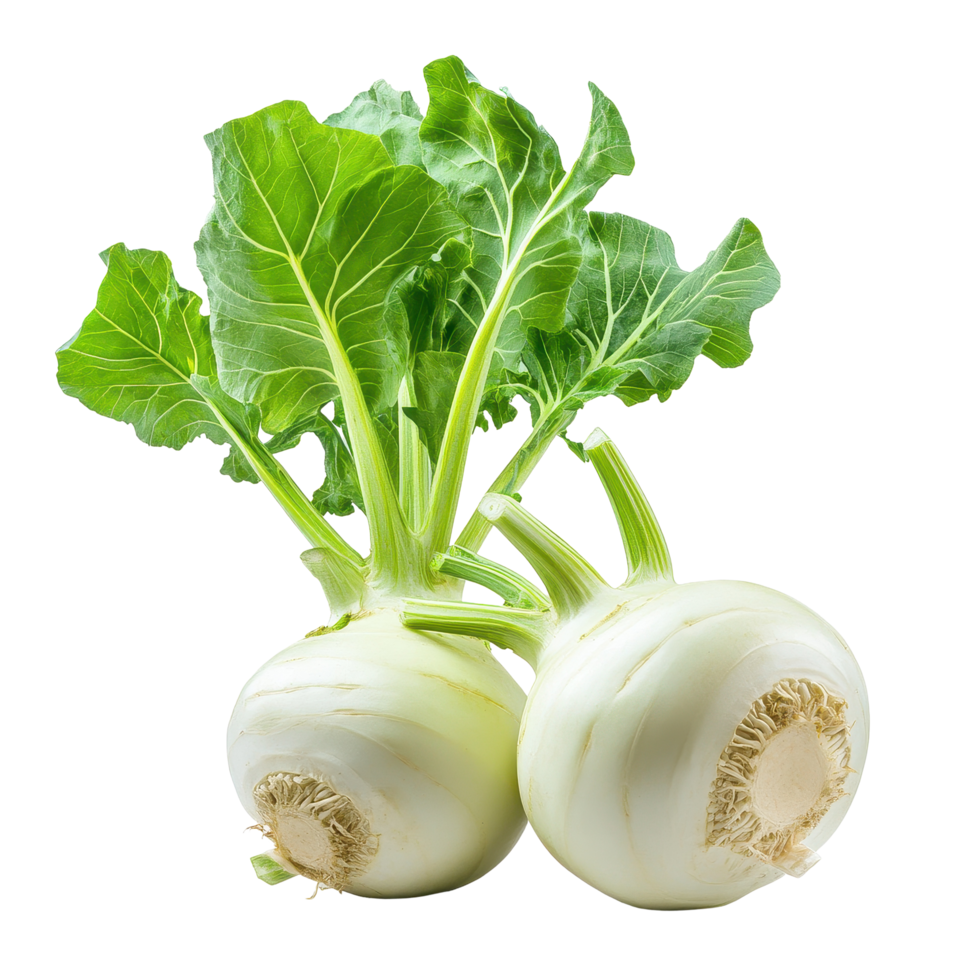 Fresh kohlrabi with vibrant green leaves showcases healthy vegetable sourced from local farms, Fresh kohlrabi with green leavesisolated on white background png