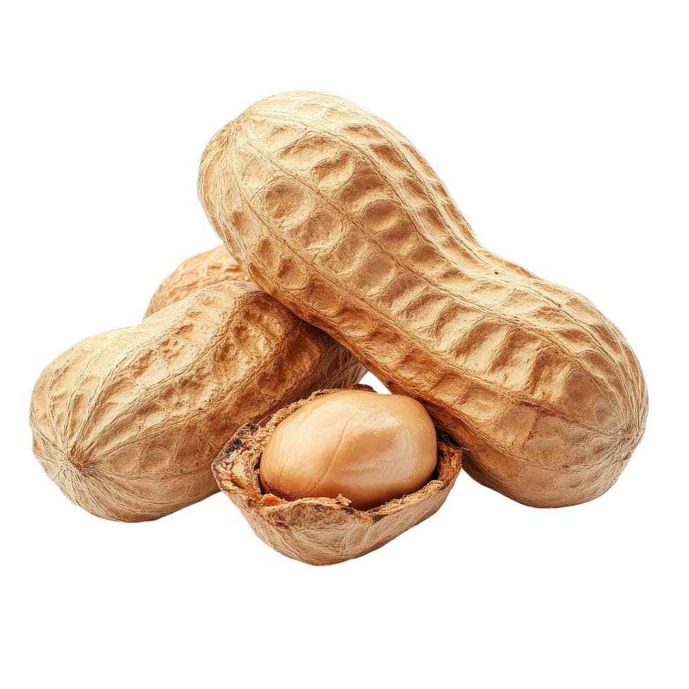 Peanuts on Transparent background showcasing natural shape and texture for culinary uses and snacks, peanuts isolated on background png