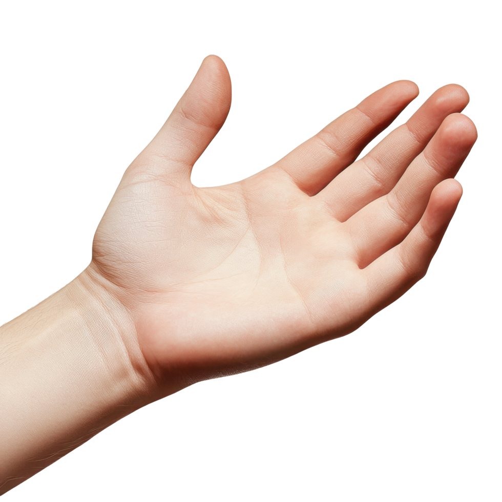 Open palm presented against a white background showcasing a human hand in a neutral position, Human hand empty outstretched palm, white background png