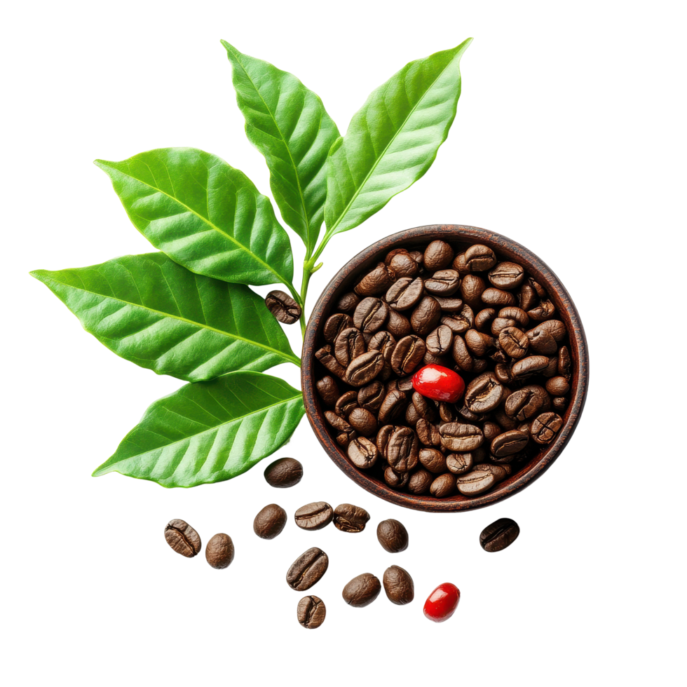 Instant coffee leaves and pepper cupisolated on white background showcasing natural ingredients of coffee, instant coffee leaves and pepper cupisolated on white background png