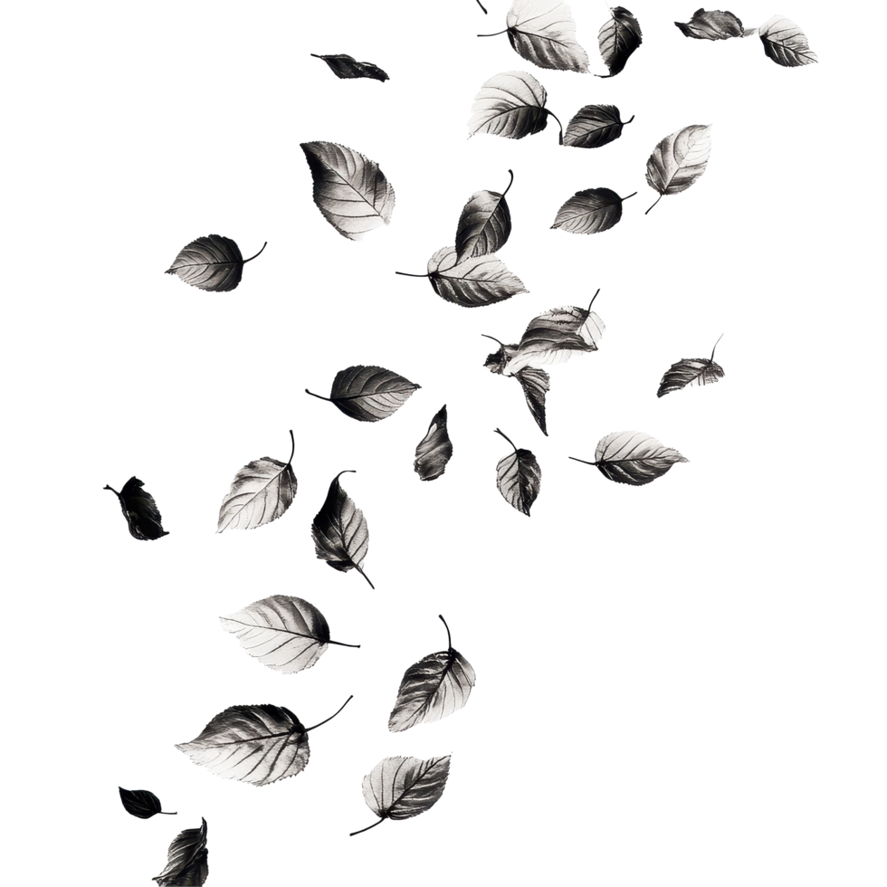 Leaves dancing in the gentle wind, gracefully fluttering on a Transparent background, Leaves fluttering in the wind isolated on background png