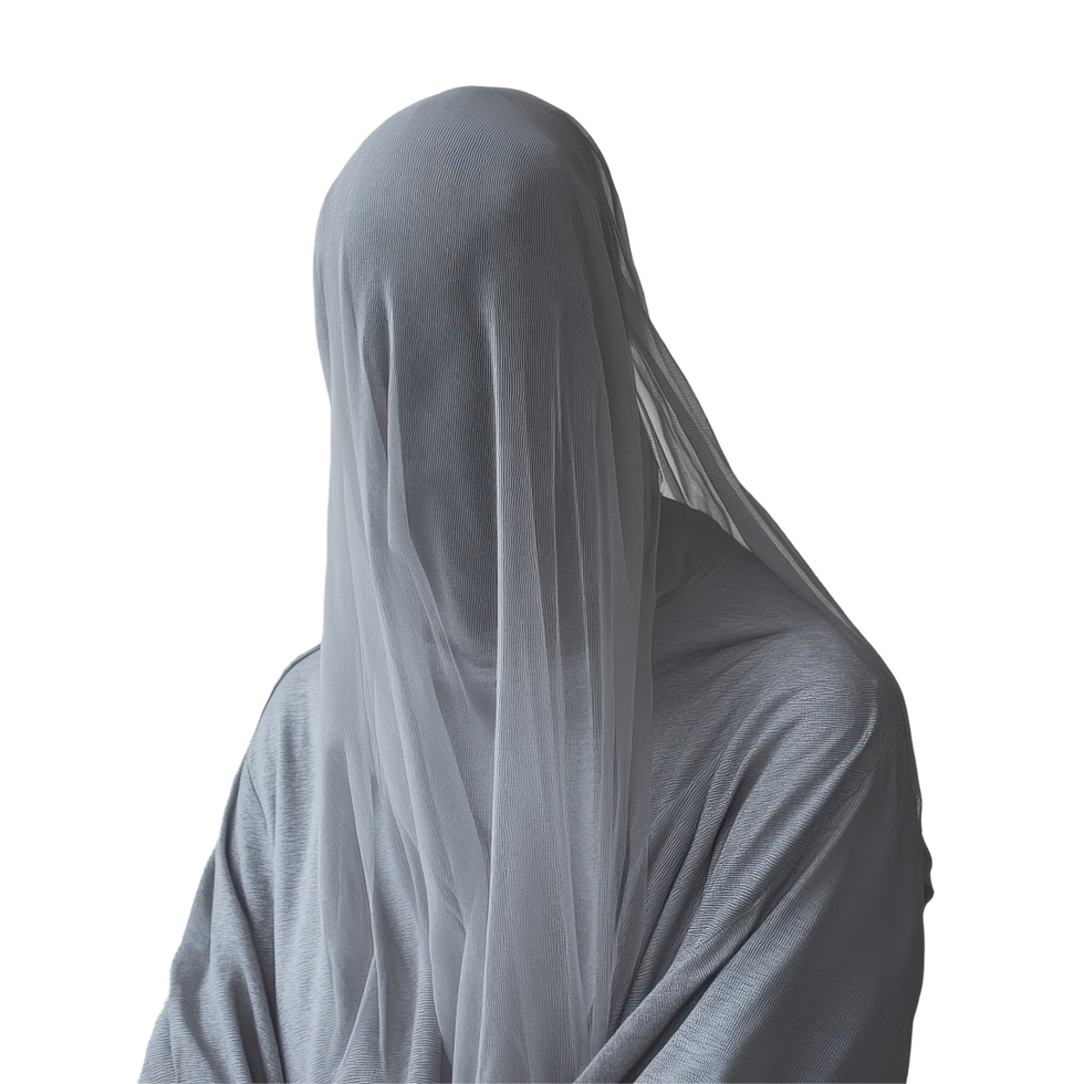 Mysterious figure in a gray hoodie with a veil on a simple Transparent background, Mysterious Figure in Gray Hoodie Veil, background png