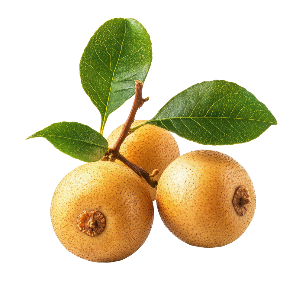 Delicious longan fruit surrounded by vibrant green leaves on a Transparent background, Longan isolated on background png