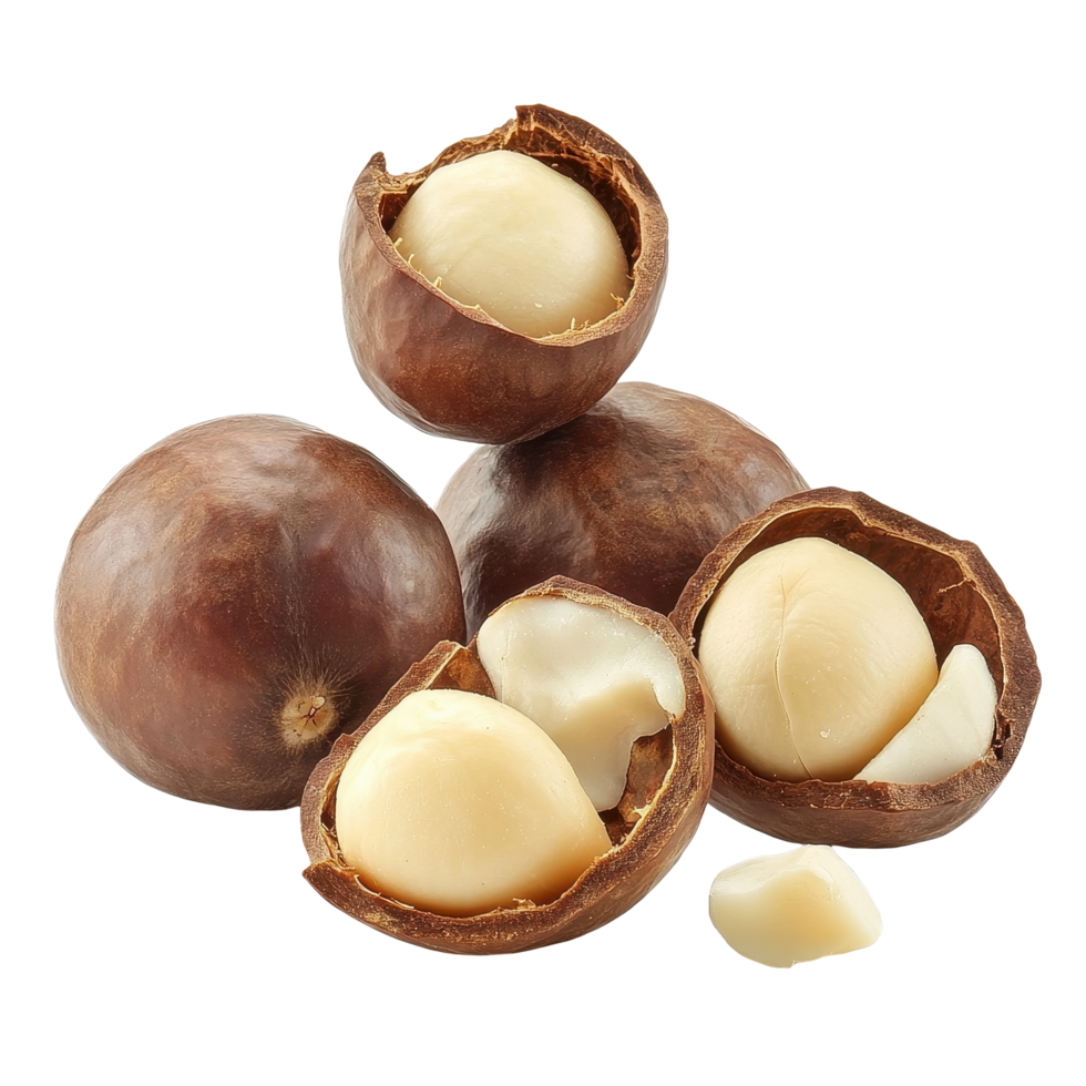 Macadamia nuts isolated on Transparent background showcasing rich texture and natural color, macadamia nuts isolated on background png