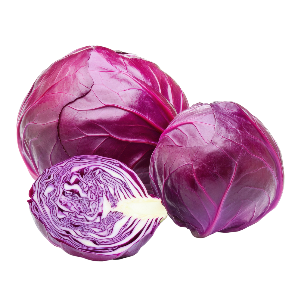 Fresh red cabbage displayed on a Transparent background highlighting its vibrant color and texture, Red cabbage isolated on background png