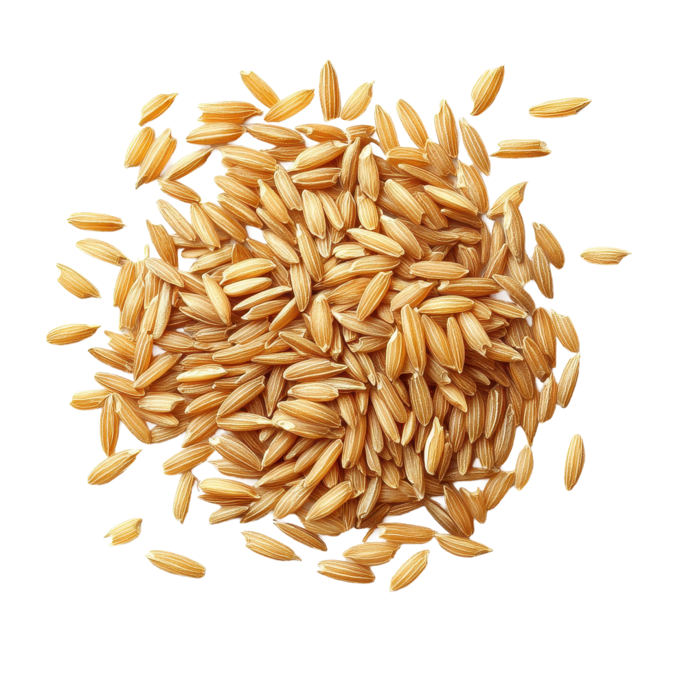 Brown rice seeds isolated on white background showcasing their natural texture and color, brown rice seeds isolated on white background png