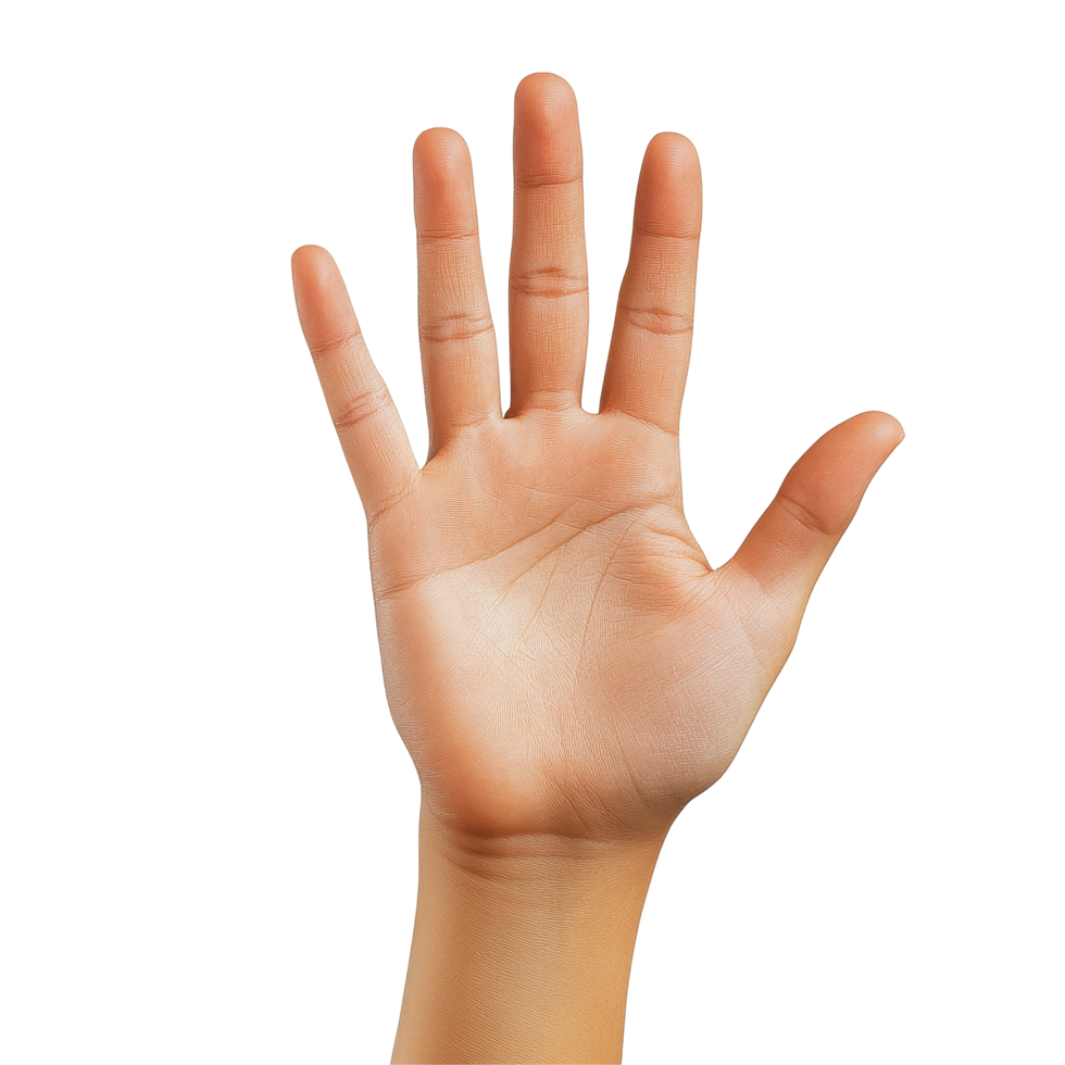 Hand raised with five fingers against a plain Transparent background showcasing a gesture of greeting or signaling, Raised Hand , Five Fingers, background png
