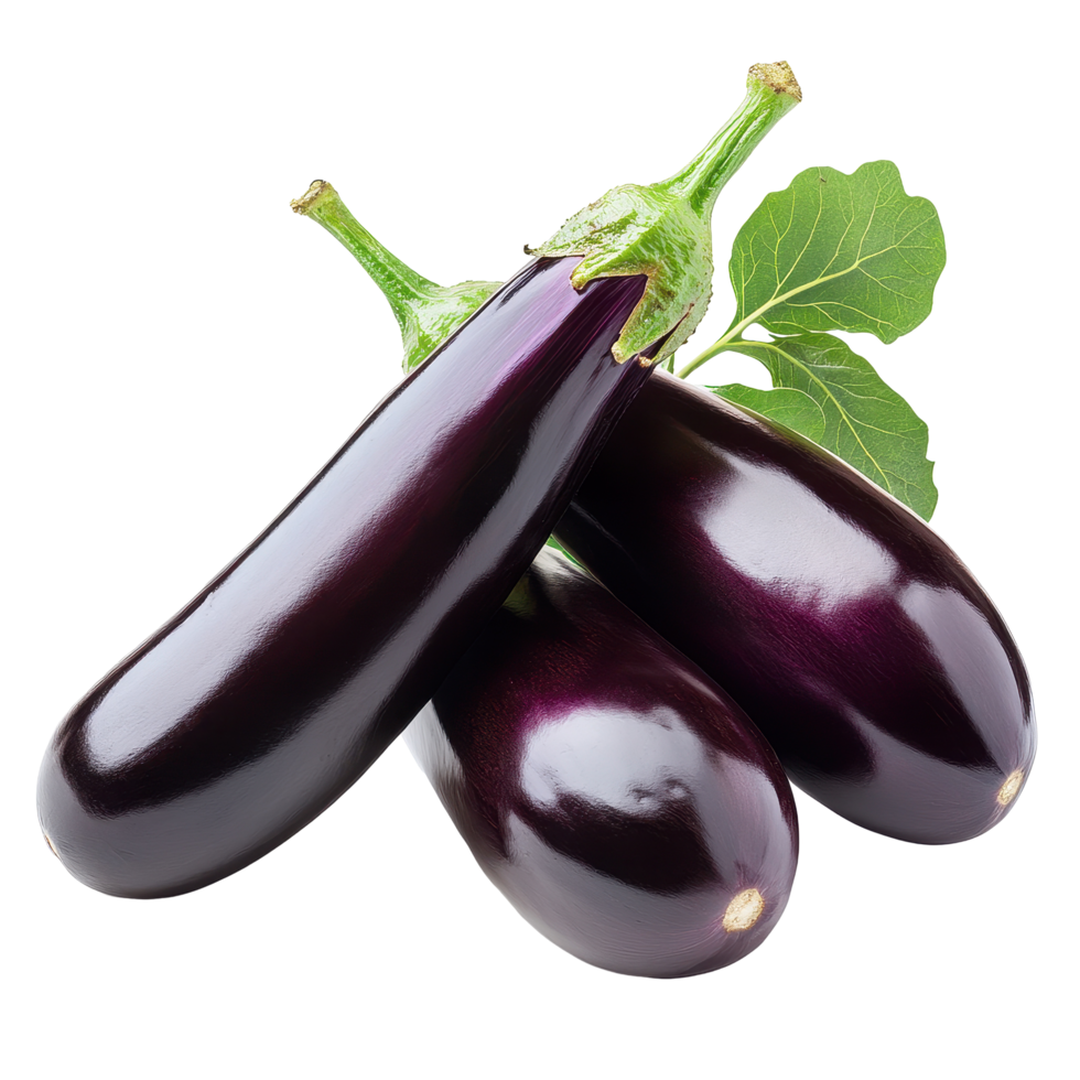 Fresh eggplants stacked together with green leaves on a bright background for culinary use, eggplant or aubergine vegetableisolated on Transparent background png