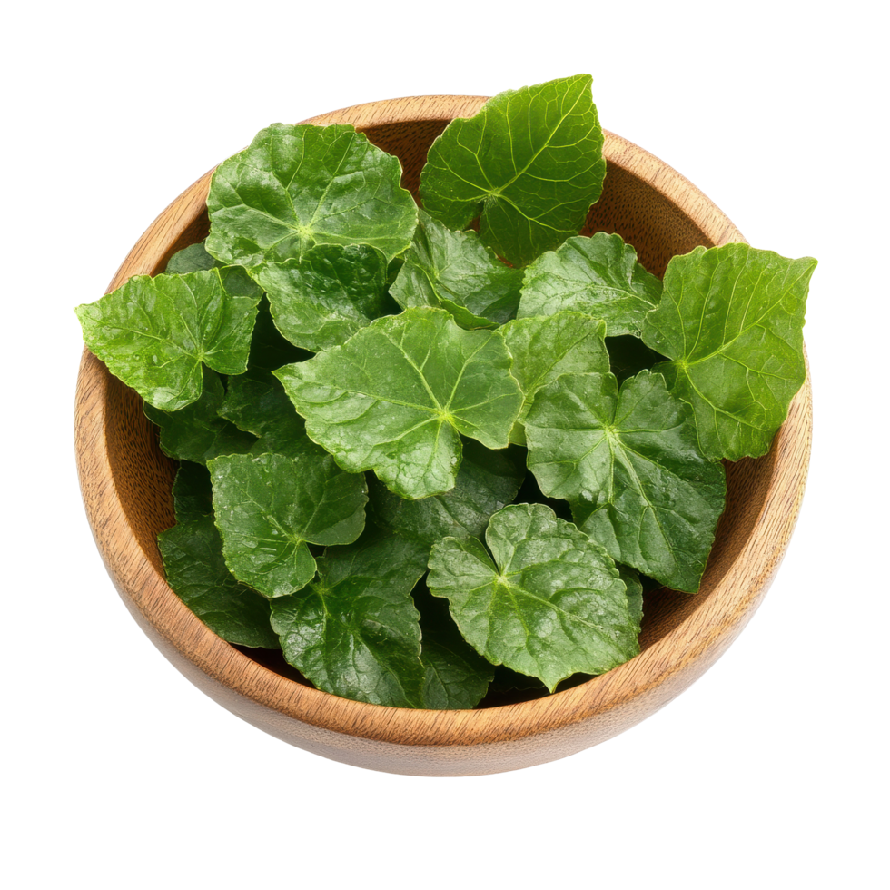 Jiaogulan leaves in a wooden bowl arranged for display in a bright setting, Jiaogulan ,Gynostemma pentaphyllum in wood bowlisolated on Transparent background png