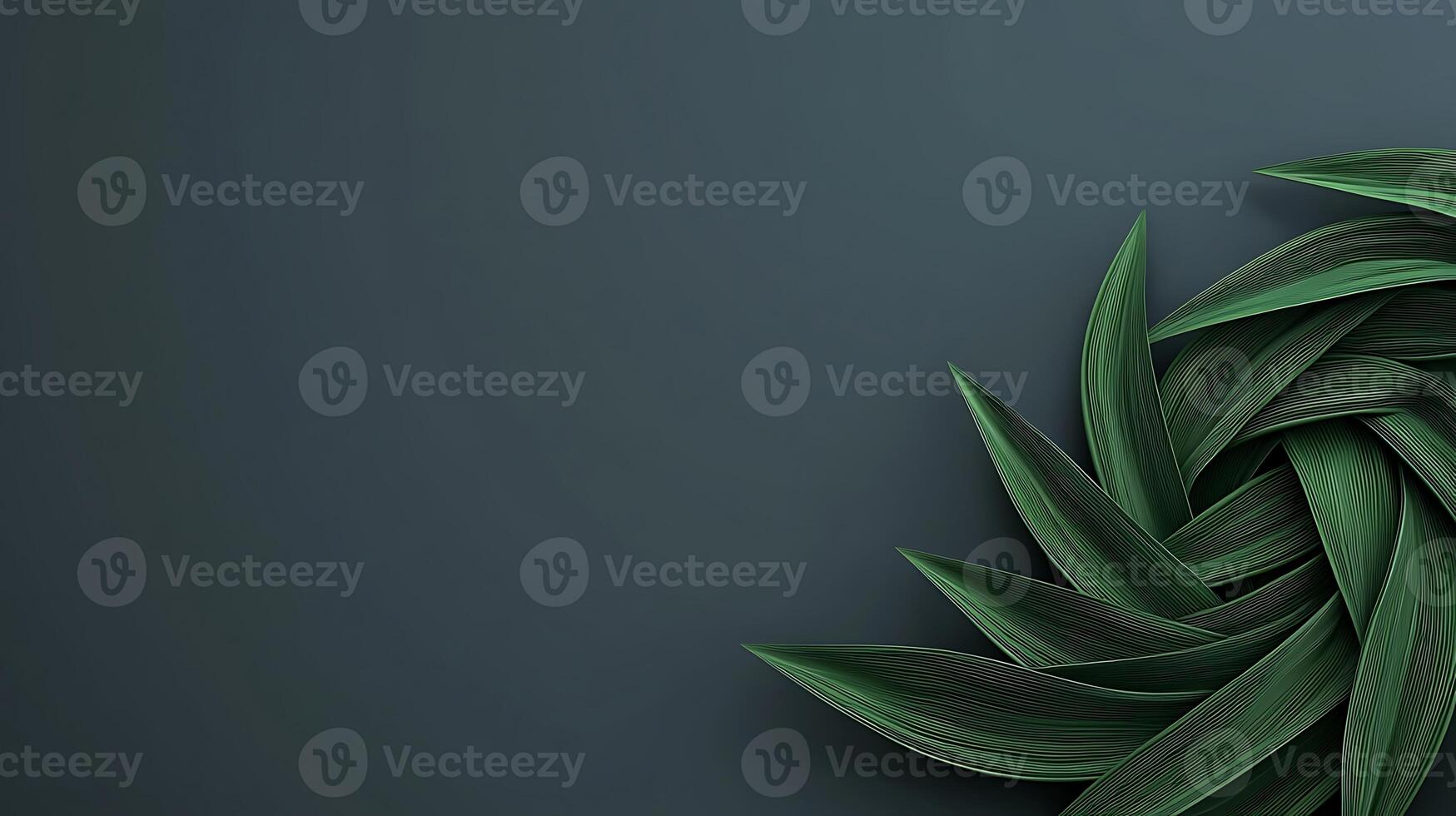 Lush green leaves arranged in a spiral pattern on a dark background, creating a serene atmosphere photo