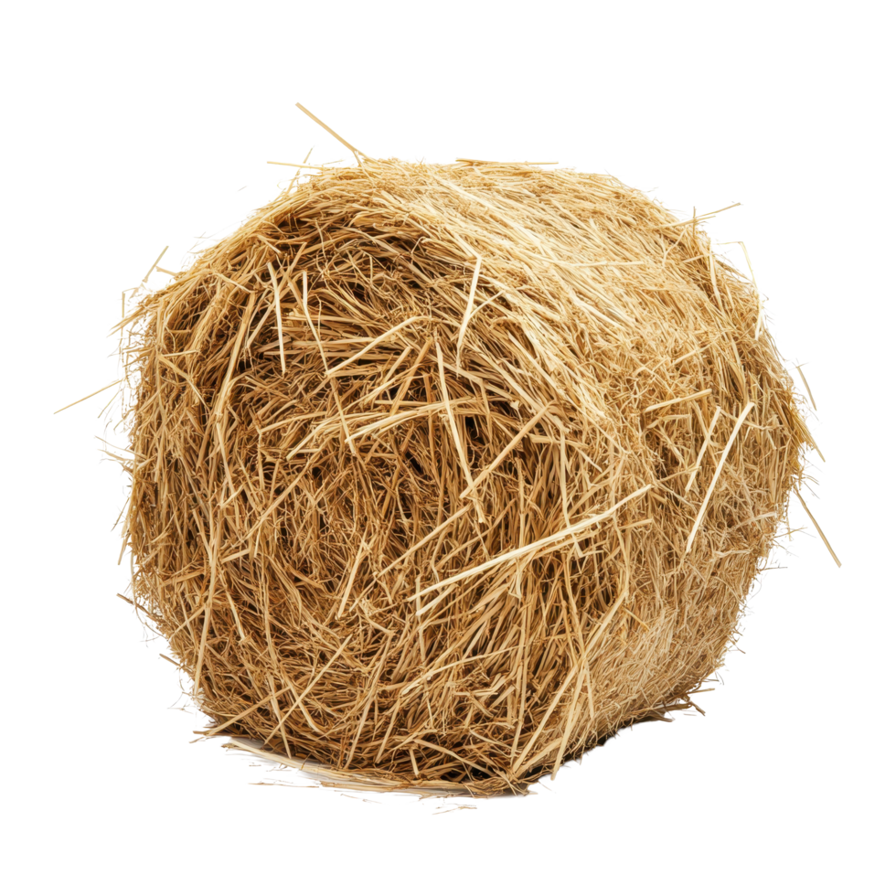 Freshly harvested hay stack on a clean white background for agricultural display, Hay Stack on white background png