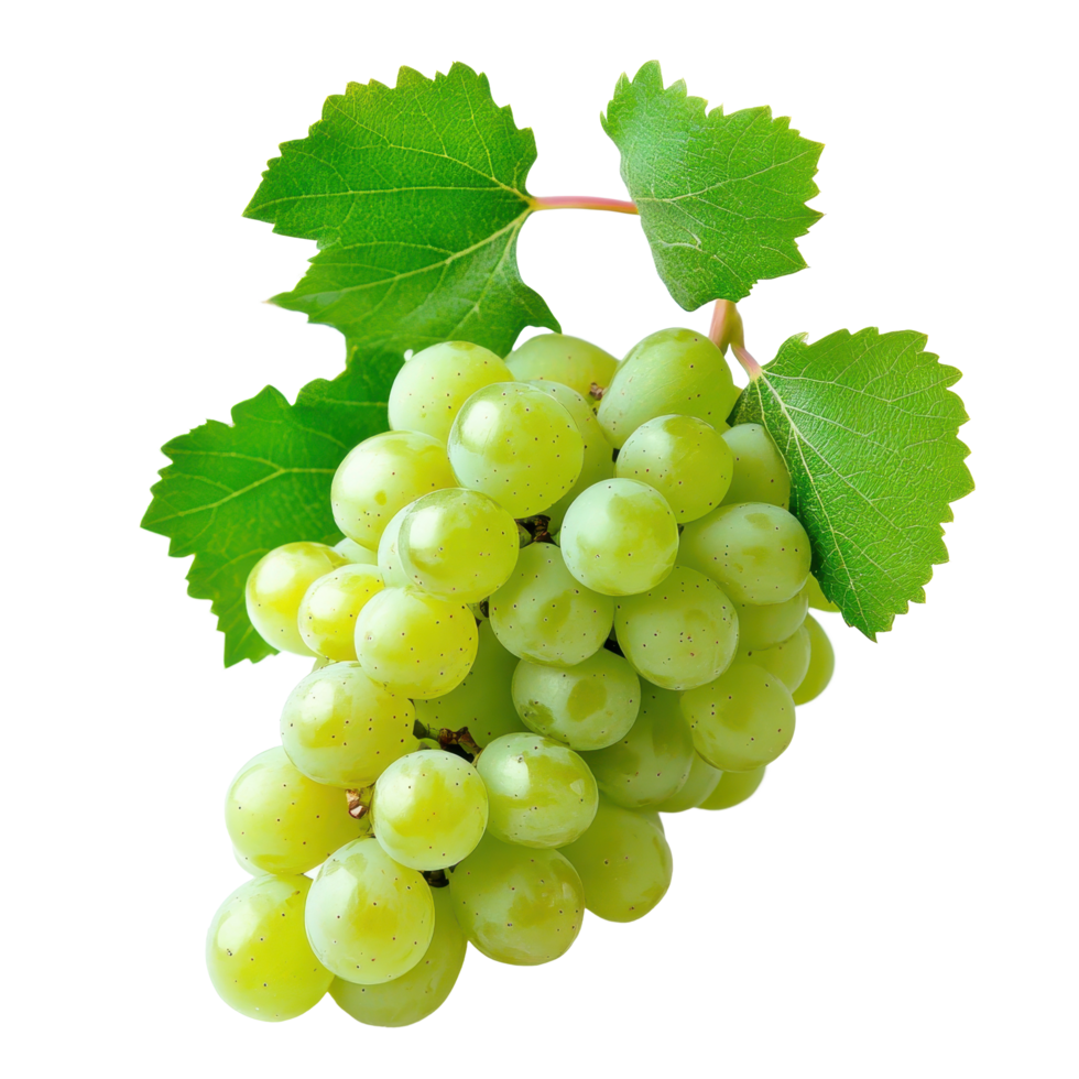Fresh green grapes with vibrant leaf on a clean white background showcasing natural beauty and freshness, Green grape with leaf on white background png