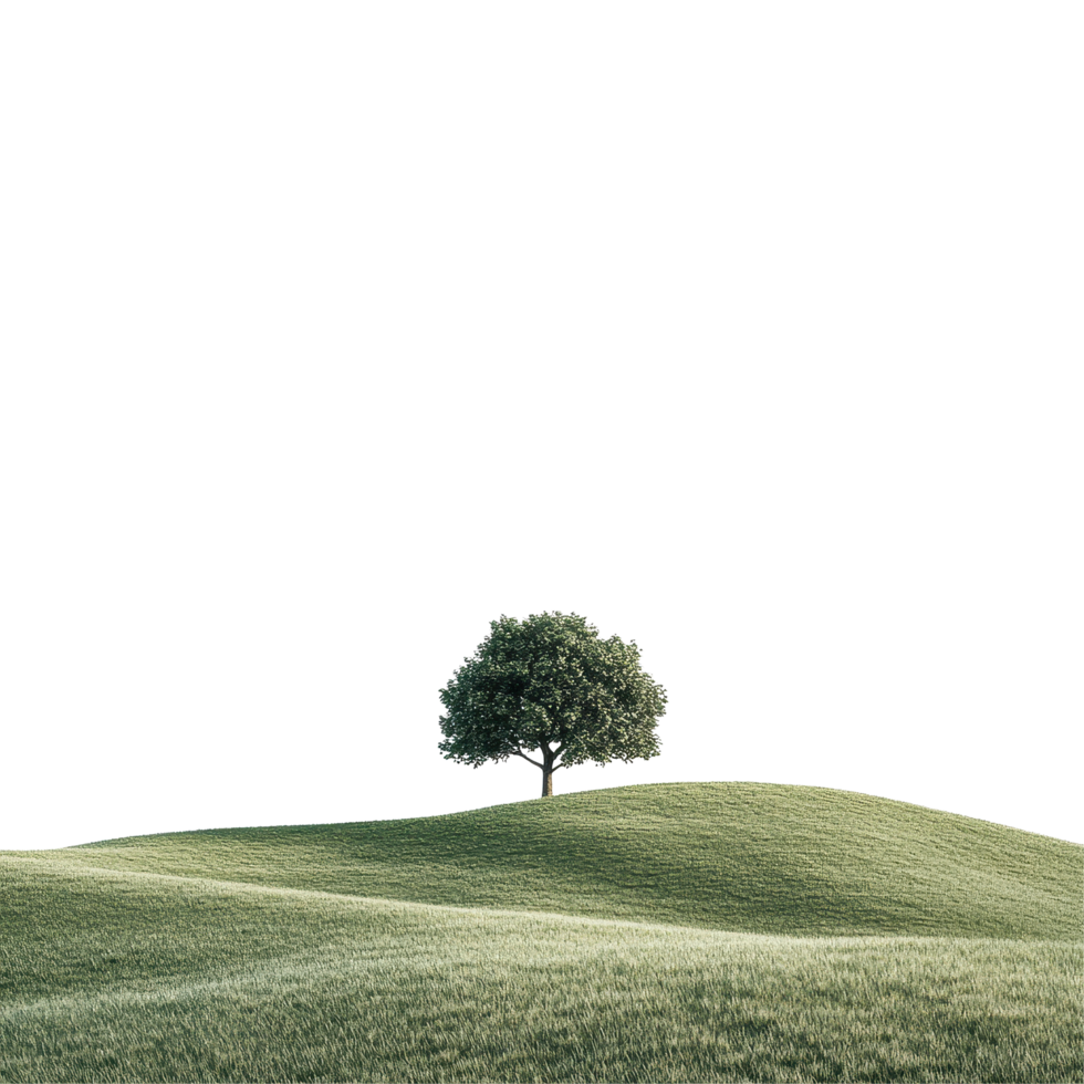 Lush green hill topped with a solitary tree against a bright Transparent background at midday, lone tree on a hill in a field, background png