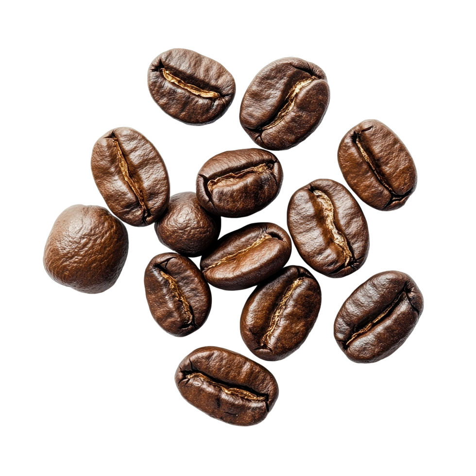Coffee beans arranged on a Transparent background highlighting rich textures and natural colors, coffee beans on background png