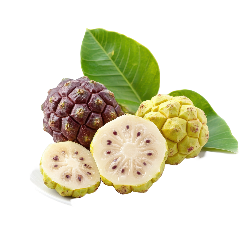 Exotic noni fruit displayed on a white plate with green leaves, highlighting its unique texture and color, Exotic Fruit Noni in white plateisolated on white background png