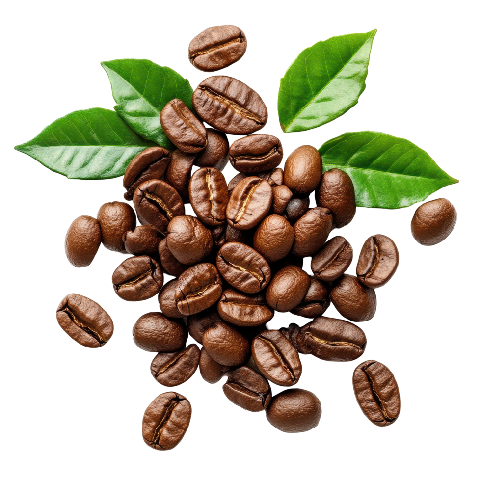 Fresh roasted coffee beans with vibrant green leaves on a clean white background, Fresh roasted coffee beans with leaves on white background png