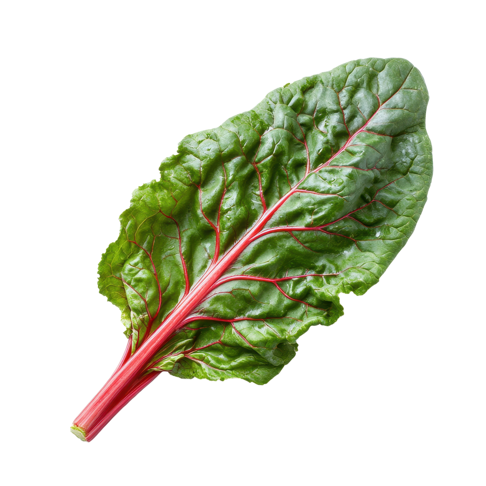 Fresh Swiss chard leaf with vibrant colors on a clean Transparent background for culinary presentations, Swiss chard leaves vegetable isolated on background png