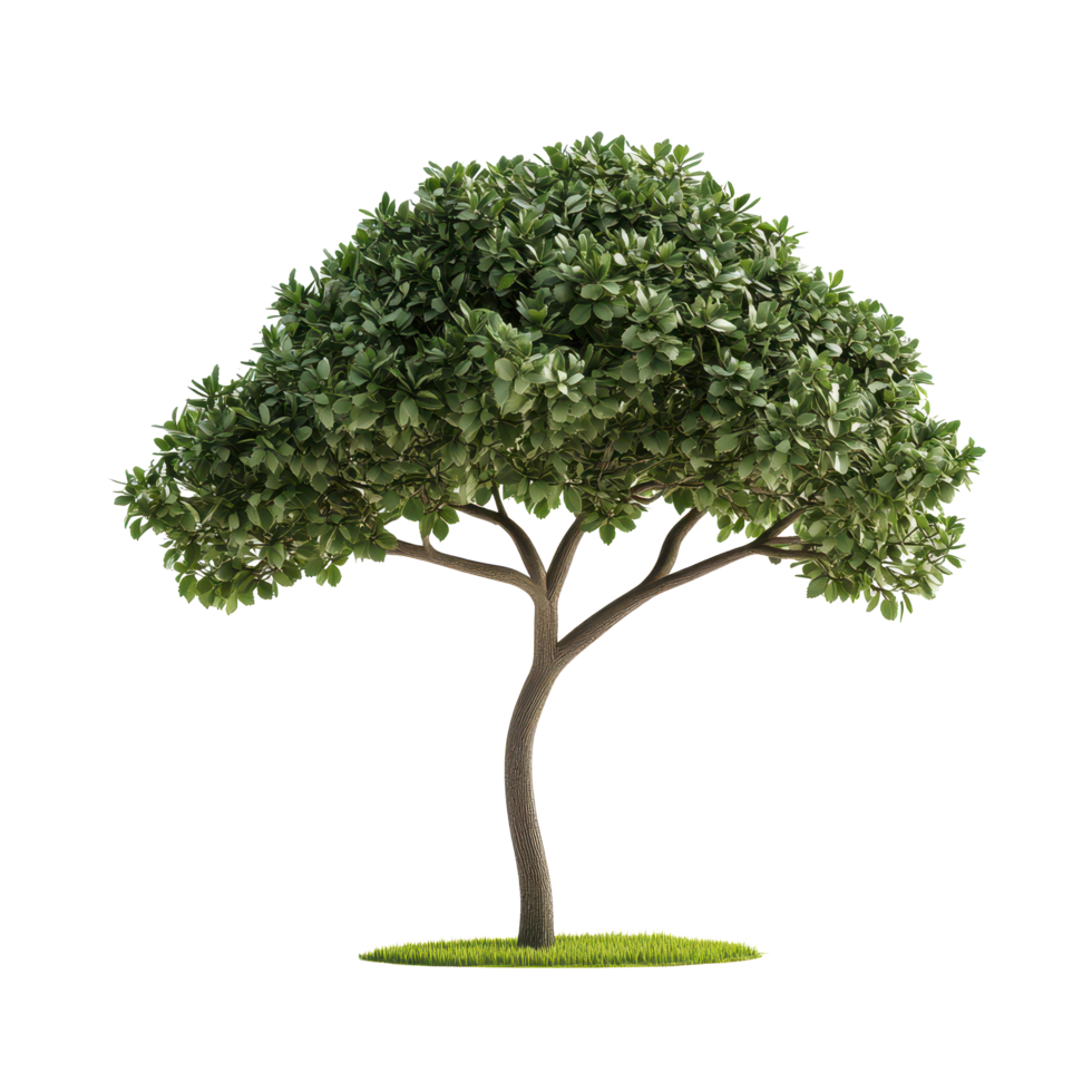 Green tree with lush foliage isolated on a white background creates a serene and natural effect, green tree flat 3d isolated on white background png
