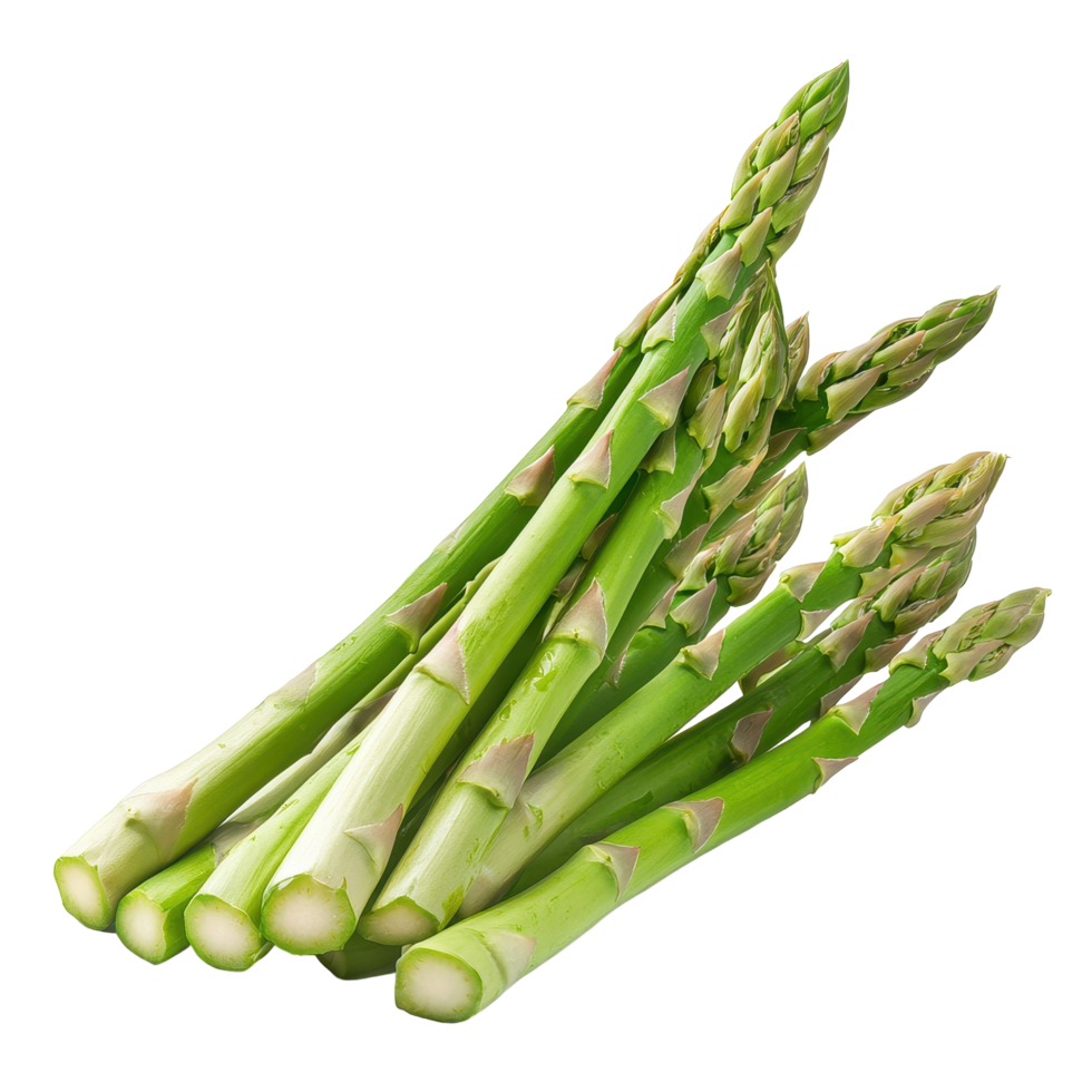 Fresh asparagus bunch isolated on white background showcasing vibrant green color and natural freshness, Fresh Asparagus isolated on white background png