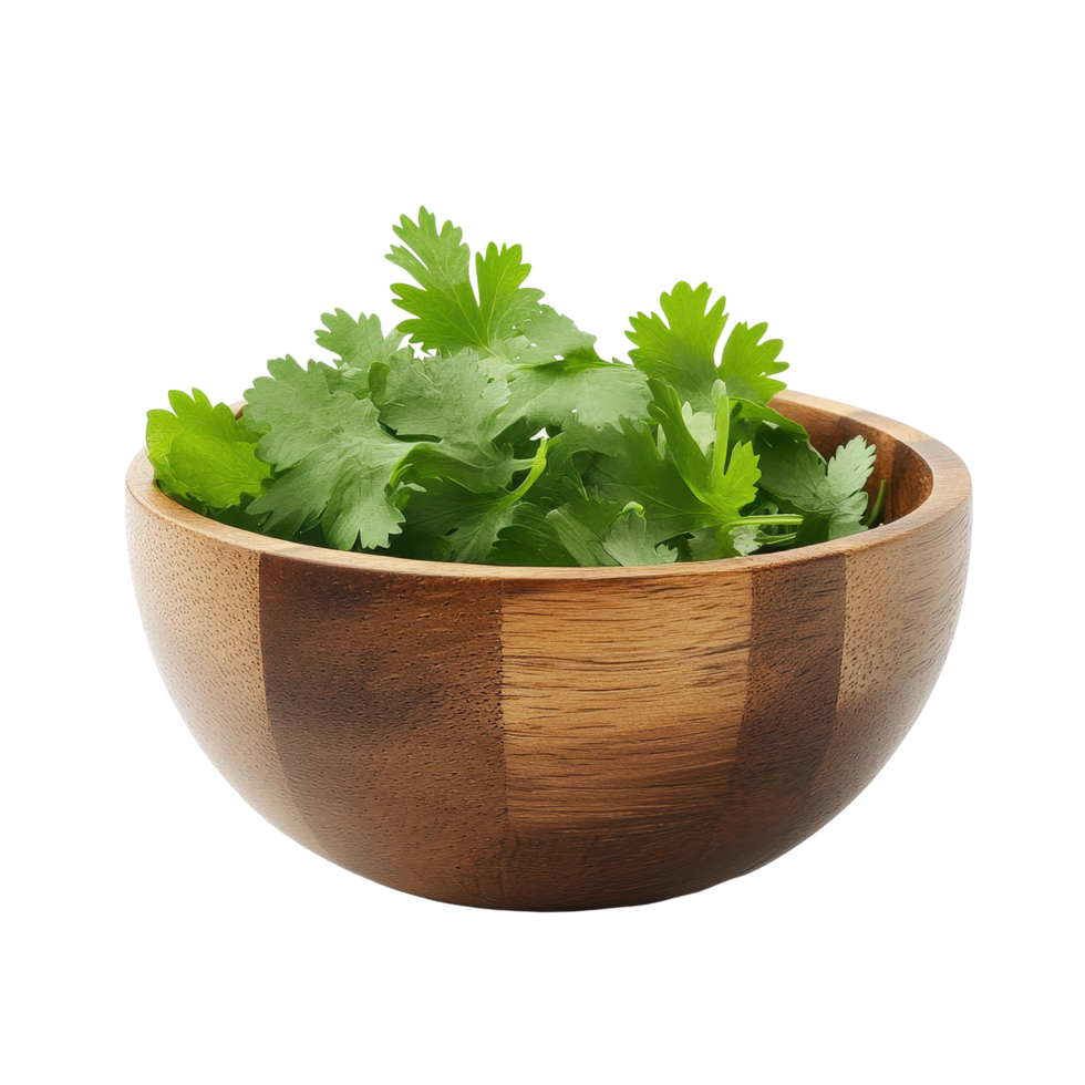 Fresh coriander leaves in a wooden bowl isolated on a Transparent background, coriander leaf in wood bowl isolated on background png