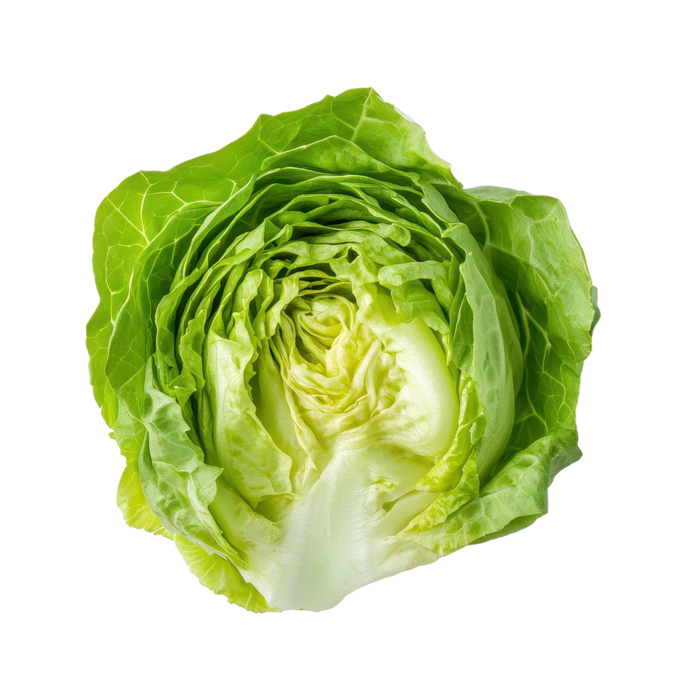 Freshly sliced green iceberg lettuce displayed on a clean Transparent background for culinary uses or recipe presentations, Slice Green Iceberg lettuce on background png