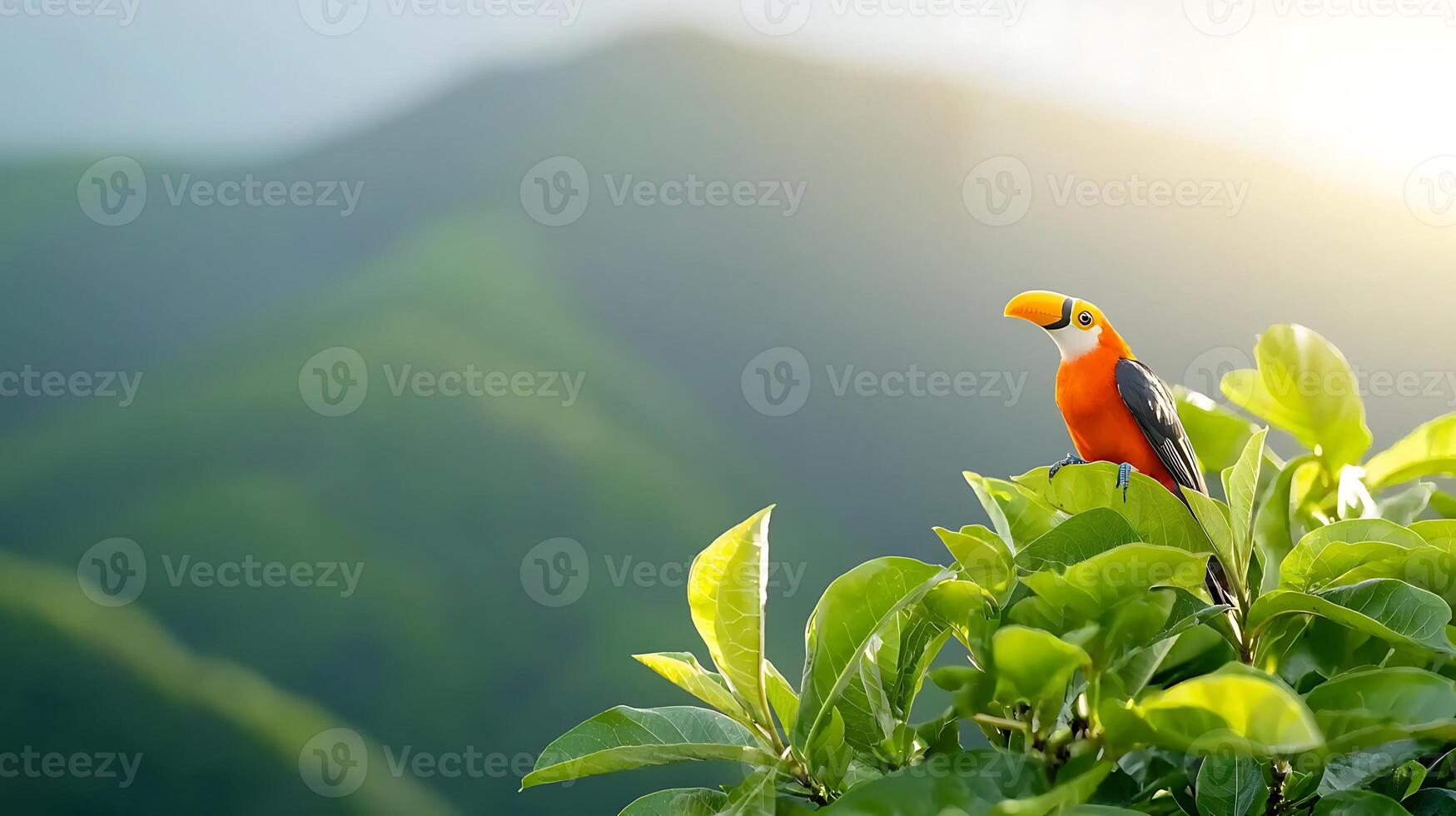 Vibrant toucan perched on lush green leaves overlooking misty mountains at sunrise photo