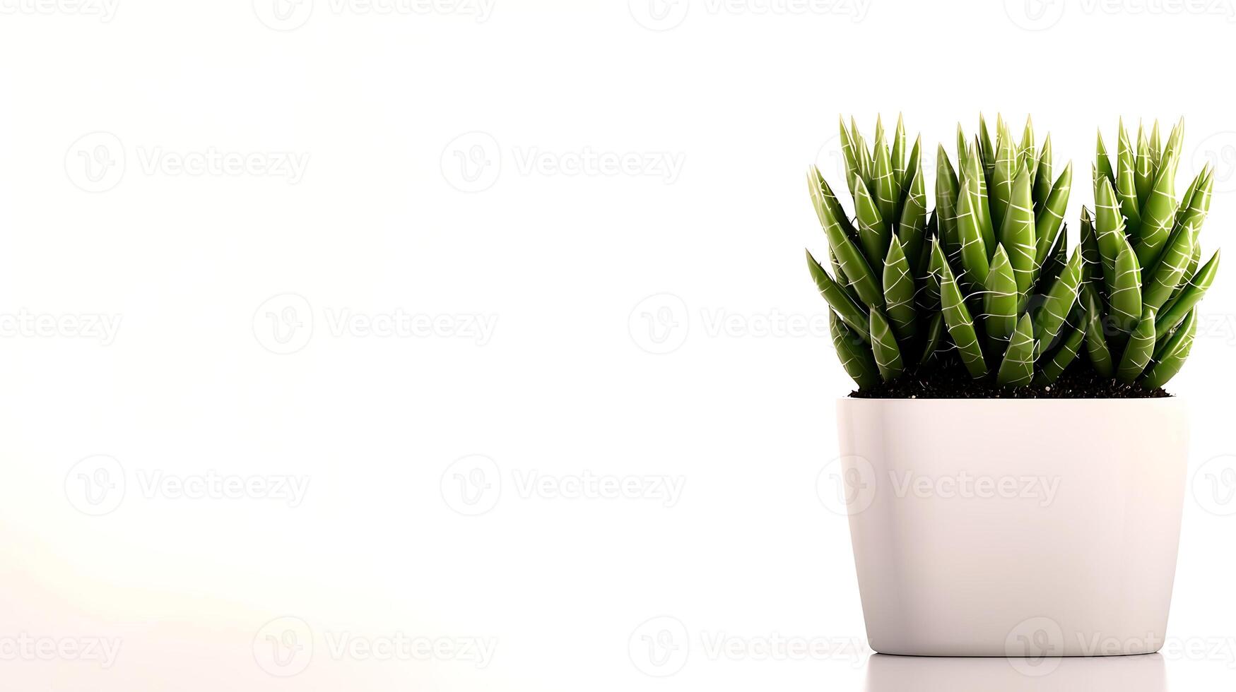 A modern white pot filled with vibrant green succulent plants against a clean, minimalistic background photo
