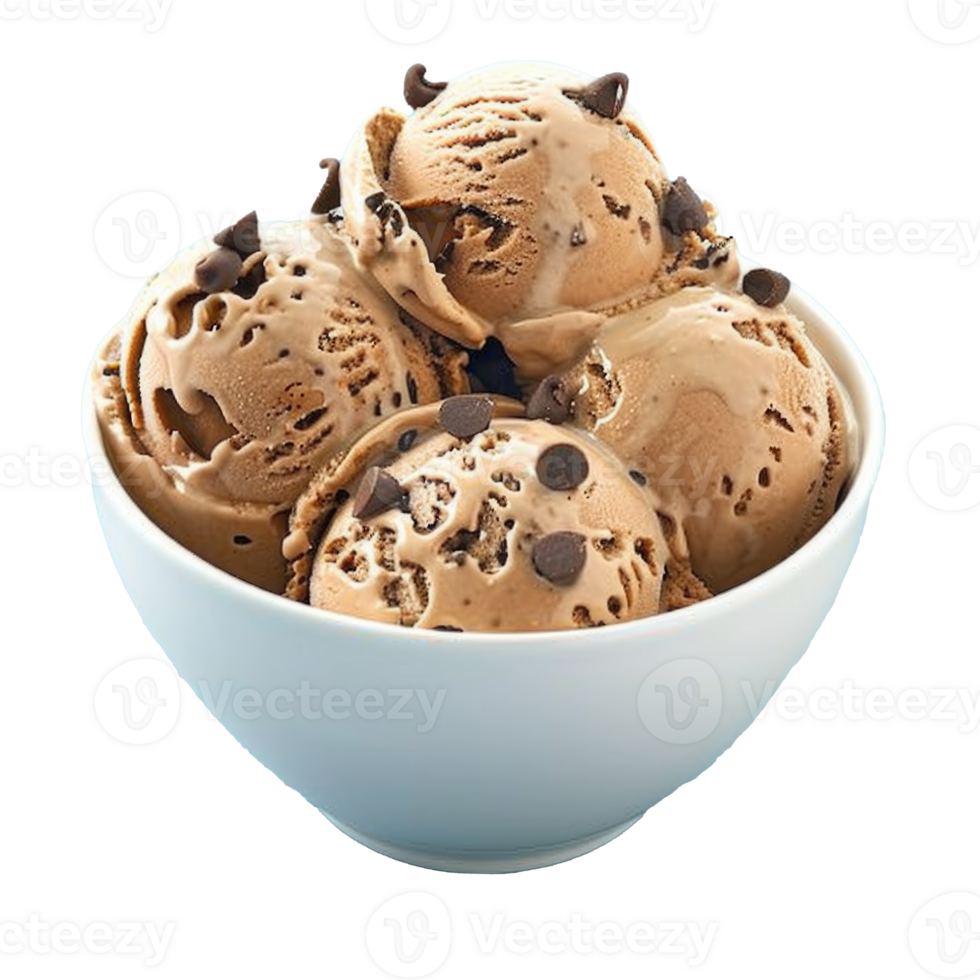 Chocolate Chip Ice Cream in a White Bowl png