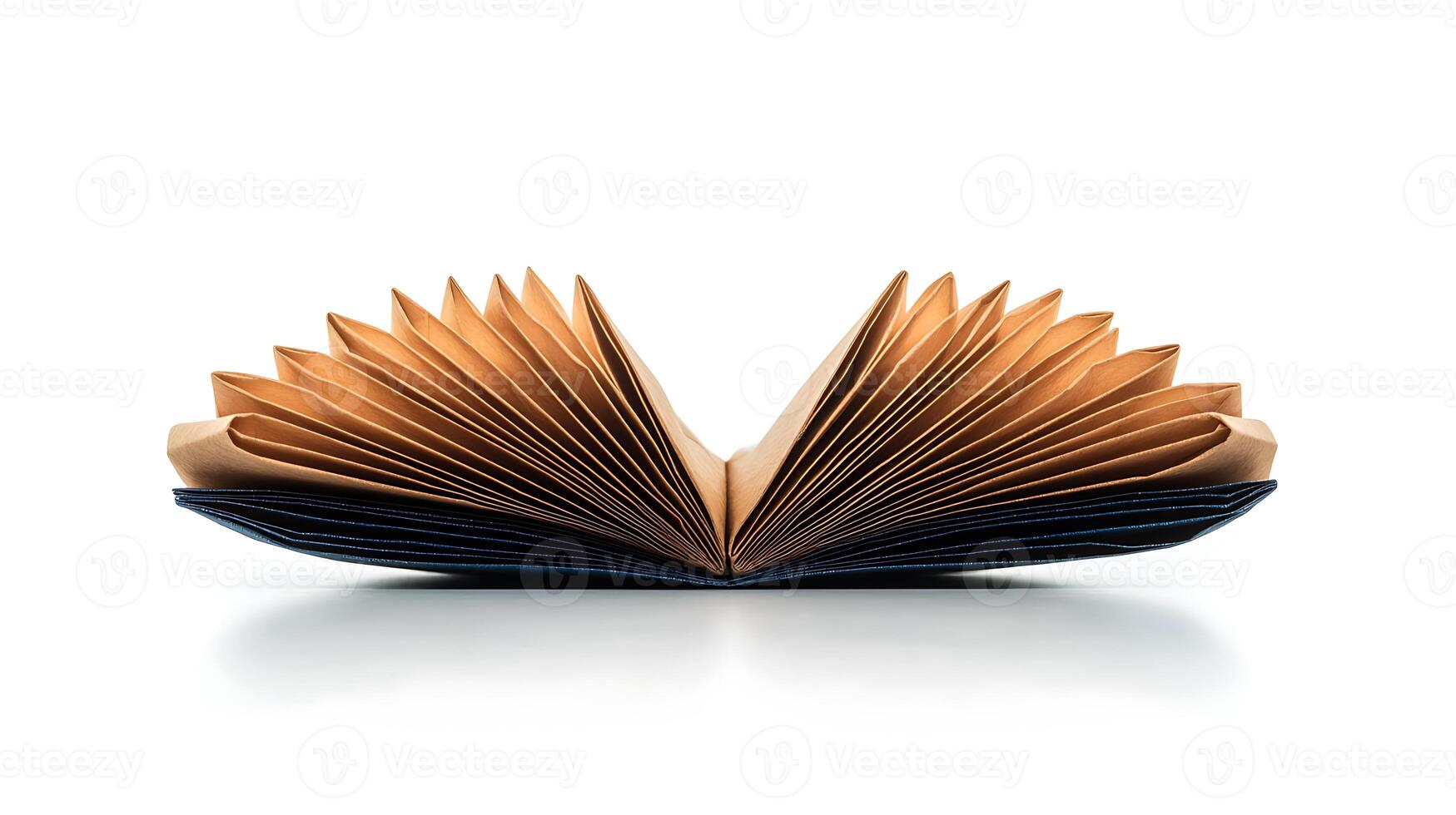 Open book with pages fanned out, showcasing textured edges against a white background photo